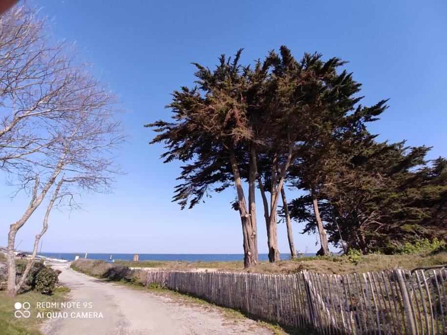 Logement En Rdc Port Haliguen Apartamento Quiberon Exterior foto