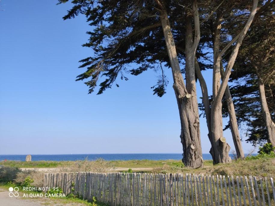 Logement En Rdc Port Haliguen Apartamento Quiberon Exterior foto